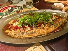 -马迭尔德式西餐精酿啤酒屋(中央大街店)