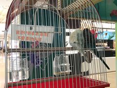 -天虹购物中心(石路店)