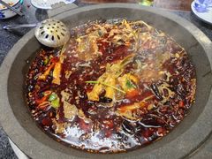 -秦巴石锅鱼