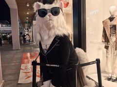 -首创奥特莱斯(北京店)
