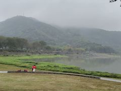 -风云岭森林公园