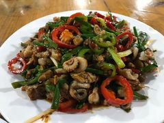 炒乌贼-海上驿站渔家菜馆