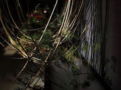 -璞素(浦东店)