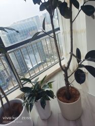 -HEYAN荷妍专业脱毛连锁机构