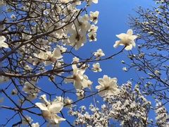 -济南国际园博园