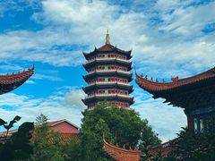 -皇罗禅寺