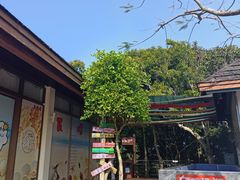 -亚龙湾热带天堂森林公园