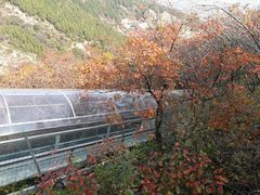 -博山九龙峪风景区