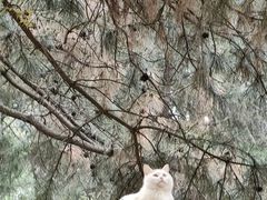 -颐和园