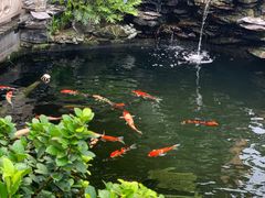 -顺德了能馆(虎门店)