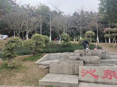 -火炉山森林公园