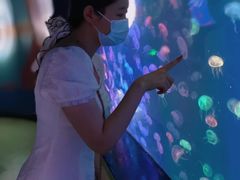 -烟台海昌鲸鲨海洋公园