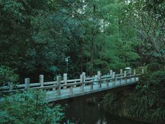 -广州兰圃