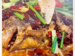 -老板恋上鱼(恒隆广场店)