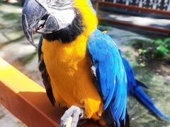 -北京野生动物园