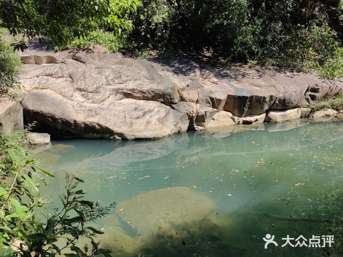 广州白江湖森林公园图片