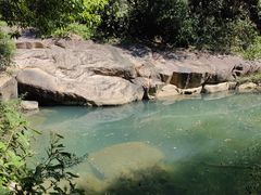 -广州白江湖森林公园