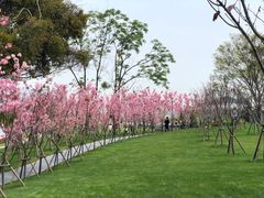-福建鲤鱼洲酒店