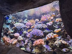 -南昌海洋公园