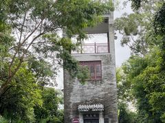 -大亚湾红树林城市湿地公园