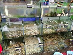 水产区-四海鲜渔家菜(黄金海岸店)