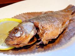 -滇野云南野生菌餐厅(陕西南路店)