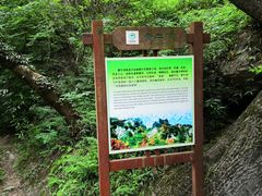 -老君洞旅游度假区