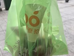-果叔叁拾加(锦绣生态园店)