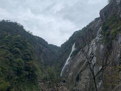 -大鄣山卧龙谷景区