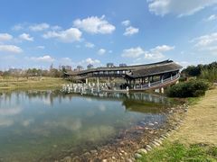 -眉山湿地公园(东坡区)