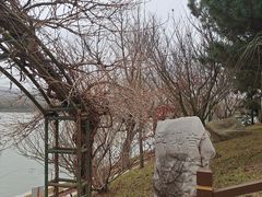 -汤泊温泉度假村