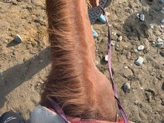 -百里峡七彩艺术小镇