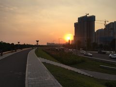 -王借岗森林公园
