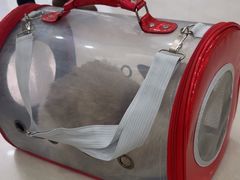 -天宠宠物医院24小时·急重症诊疗中心·全科·腔镜特色(和平分院)