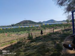 -浅山蜜塘奇妙乐园·亲子营地