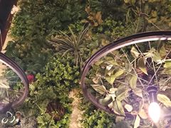 -胡桃里音乐酒馆(白云五号T5 MALL店)