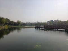 -金银湖国家城市湿地公园