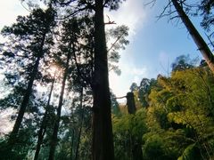 -东天目山风景区