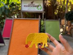 -大象粑粑造纸公园