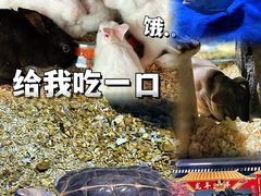 -顺德南宏海立方海洋公园