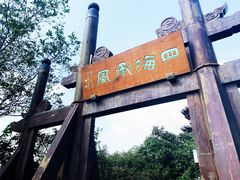 -杭州半山国家森林公园