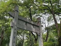 -龙井村