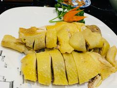 -丰食农家乐