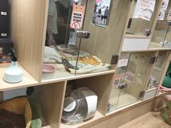 -屋虎猫馆(宝安大仟里店)