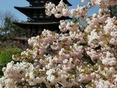 -北京世界公园