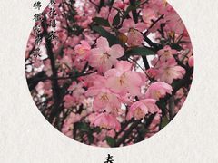 -南山风景名胜区