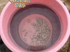 -辽宁团山国家级海洋公园