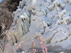 -黑龙潭风景区