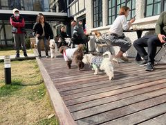 -一尺花园(安和花园店)