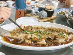 -漫渡庄绿岛花园•隐世庭园菜(滨湖店)